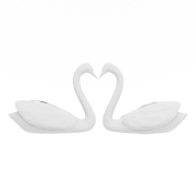 Zakochane łabędzie