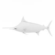 Ryba marlin