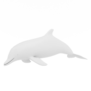 Delfin