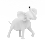 Podekscytowany słoń