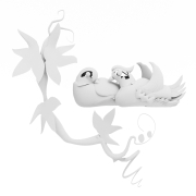 Płynące kaczki - 1