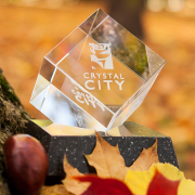 Statuetka 3D z logo CrystalCiTy - plener