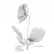 Pojedynczy bratek - 2