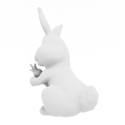 Królik z marchewką - 3