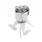 Róża Elegancji - 2