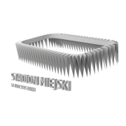 Logo Stationu Jagielonii - 2