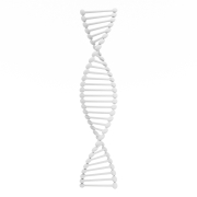 Podwójna helisa DNA - 1