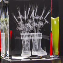 Szklana nagroda AgroVizija 2015 - 3