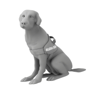 Pies służby celnej - 1