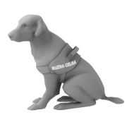 Pies służby celnej - 2