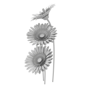 Kompozycja z Gerberów - 2