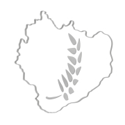 Laur województwa Świętokrzyskiego - 2