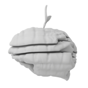 Mózg z listkiem - 3