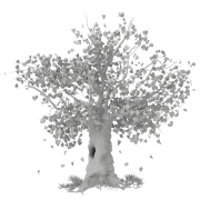 Drzewo z dziuplą - 2