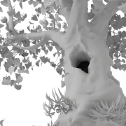 Drzewo z dziuplą - 3