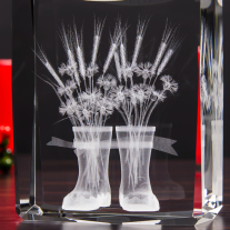 Nagroda 3D AgroVizija - 3