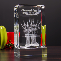 Nagroda 3D AgroVizija - 5