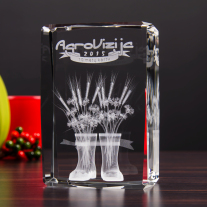 Nagroda 3D AgroVizija - 2