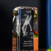 Zbliżenie na statuetkę 3D z modelem układu kostnego dłoni