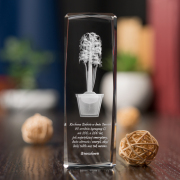 Hiacynt 3D » Serdeczny Gest «