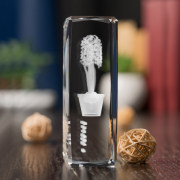 Hiacynt 3D » Serdeczny Gest «