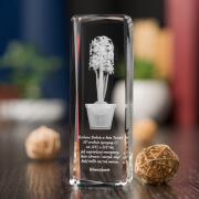 Hiacynt 3D » Serdeczny Gest «