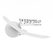 Logo Petro #2