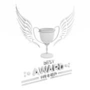 Nagroda Best Award Winner #2