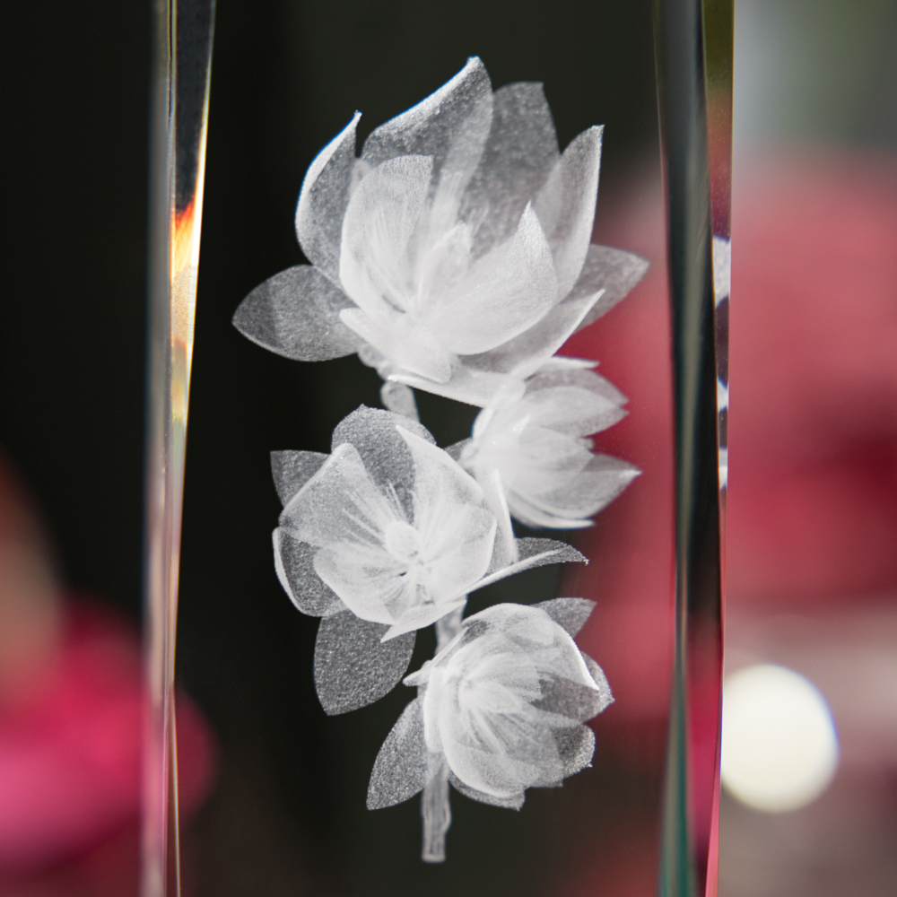Magnolia 3D » Kobiecy Dotyk «