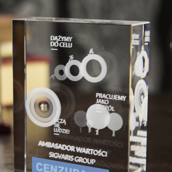 Nagroda 3D dla ambasadora wartości - 4