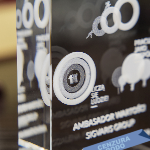 Nagroda 3D dla ambasadora wartości - 5
