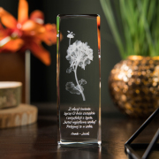 Pelargonia 3D » Kwiat Szczęścia «