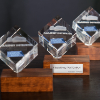 Figurka 3D wyróżnienie dla pracownika - 2 Figurka 3D wyróżnienie dla pracownika - 2