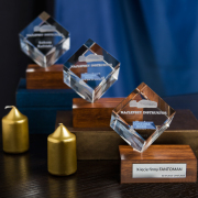 Figurka 3D wyróżnienie dla pracownika - 6