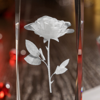 Róża 3D » Kwiat Namiętności «