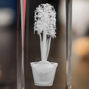 Hiacynt 3D » Serdeczny Gest «