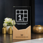 Nagroda 3D - Sokołowski Ośrodek Kultury - 2