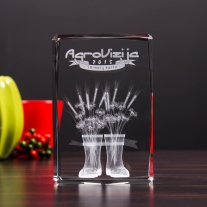 Nagroda 3D AgroVizija - 1