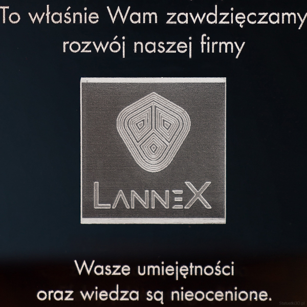 Statuetka 3D z logo LanneX - zbliżenie 2
