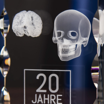 Statuetka z modelami 3D mózgu i czaszki - zbliżenie