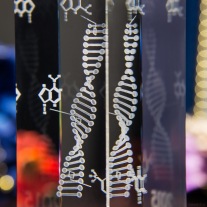 Statuetka z modelem 3D DNA - zbliżenie