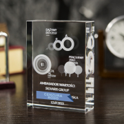 Ambasador wartości - nagroda 3D - 8