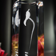 Statuetka 3D dla pracownika sztabu wyborczego - 3