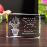 Szklana opuncja dla koleżanki - 2