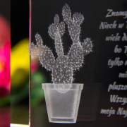 Szklana opuncja dla koleżanki - 5