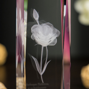 Eustoma 3D » Wdzięczności Dar «