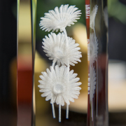 Gerbera 3D » Kwiat Uwielbienia «