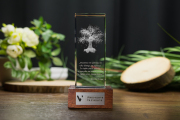 Drzewo z dziuplą 3D - statuetka dla firmy ubezpieczeniowej