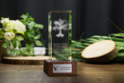 Statuetka 3D - Drzewo z dziuplą dla firmy ubezpieczeniowej