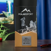 Statuetka 3D na jubileusz PolarSport